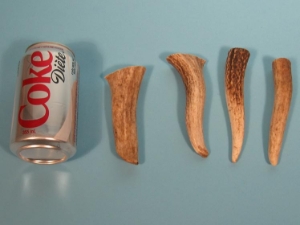 Elk Antler Dog Chews: S (lb) 