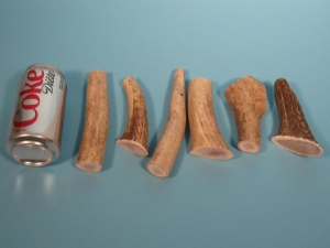 Elk Antler Dog Chews: M (lb) 