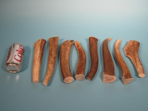 Elk Antler Dog Chews: X-Large (lb) 