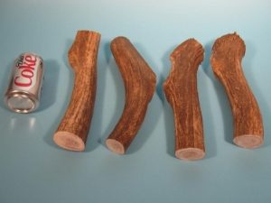 Elk Antler Dog Chews: Giant (lb) 