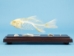 Fish Skeleton Mount - 1072-51001 (Y2PRG)