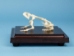 Toad Skeleton Mount - 1072-51002 (Y2PRC)