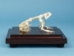 Toad Skeleton Mount - 1072-51002 (Y2PRC)