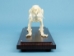 Rabbit Skeleton Mount - 1072-51004 (Y2PRG)