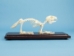Rabbit Skeleton Mount - 1072-51004 (Y2PRG)