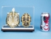 Turtle Skeleton Mount: Natural Shell - 1072-51005-N (Y2PRC)