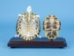 Turtle Skeleton Mount: Natural Shell - 1072-51005-N (Y2PRC)
