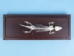 Lizard Skeleton Mount - 1072-51007 (Y2PRC)