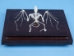 Bat Skeleton Mount - 1072-51010 (Y2P)