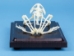 Bullfrog Skeleton Mount - 1072-51011 (Y2P)
