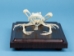 Bullfrog Skeleton Mount - 1072-51011 (Y2P)