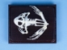 Bullfrog Skeleton Mount - 1072-51011 (Y2P)