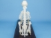 Dog Skeleton Mount - 1072-51014 (Y1L)