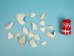 Broken Quahog Shell: Small Pieces (lb) - 1080-B3 (Y3LRO)