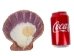 Lion Paw Scallop Shell: Natural Color - 1084-10 (Y3LRX)