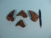 Elk Hoof - 1092-AS (Y2KC20)