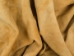Horse Leather: Reject: Cream: 2.5-3 oz. (sq ft) - 1106-RJ-CR2 (Y1LRM)