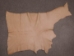 Horse Leather: Tannery Run: Cream: 2.5-3 oz. (sq ft) - 1106-TR-CR2 (Y1L)