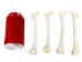 Coyote Leg Bone: Femur - 1116-20 (Y2DC01)