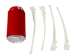Coyote Leg Bone: Ulna - 1116-21 (Y2DC02)
