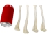 Coyote Leg Bone: Tibia - 1116-22 (Y2DC01)