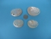 Haliotis Ovina Abalone Shell: 2-3" - 1118-23 (Y1LRN)