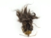 Shrunken Head: Large - 1134-L-AS (Y2PRK)