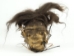 Shrunken Head: Large - 1134-L-AS (Y2PRK)