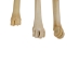 Deer Leg Bone - 1137-20 (Y1LRQ)