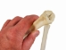 Deer Leg Bone - 1137-20 (Y1LRQ)