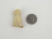 Deer Toe Knuckle Bone - 1137-30 (Y2LRD)