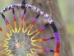 Beaded Dreamcatcher: 2" - 1144-2 (Y2KC06)