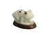 Tagua Nut Carving: Frog #2 - 1153-C192 (Y3K)