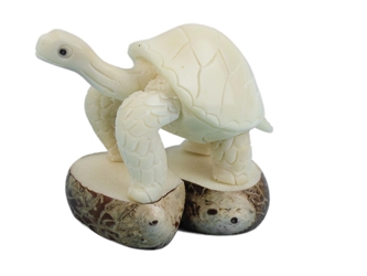 Tagua Nut Carving: Galapagos Turtle 