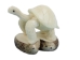 Tagua Nut Carving: Galapagos Turtle - 1153-C279 (Y1ERG)