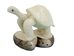 Tagua Nut Carving: Galapagos Turtle - 1153-C279 (Y3K)