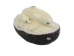 Tagua Nut Carving: Dolphin and Baby - 1153-C322 (Y1ERG)