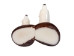 Tagua Nut Carving: Polar Bear and Cub - 1153-C415 (Y1ERG)