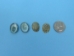 Green Limpet Shells (lb) - 1171-LB (Y3KRN)