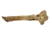 Cow Vertebra - 1172-40 (Y2PXX)
