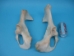 Cow Pelvic Bone - 1172-50 (Y2PXX)