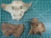 Cow Bones: Assorted (lb) - 1172-LB (Y2PRE)