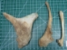 Cow Bones: Assorted (lb) - 1172-LB (Y2PRE)