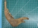 Cow Bones: Assorted (lb) - 1172-LB (Y2PRE)
