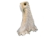 Micmac "Far-Seeing Eagle" Moose Antler Carving: Gallery Item - 118-G34 (Y1R)