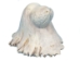 Micmac "Seal Head" Moose Antler Carving - 118-SH3 (Y1R)