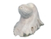 Micmac "Seal Head" Moose Antler Carving - 118-SH3 (Y1R)
