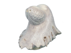 Micmac "Seal Head" Moose Antler Carving 