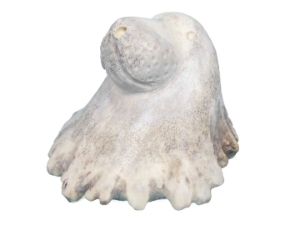 Micmac "Seal Head" Moose Antler Carving 