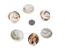 Polished Turbo Shell Operculum - 1216-20 (Y1GRC)